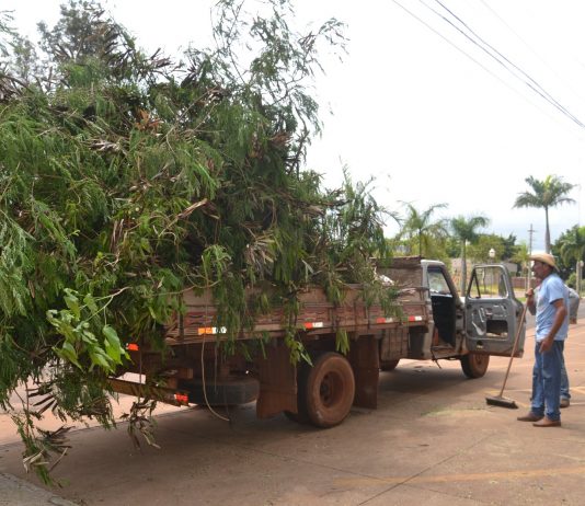 Secretarias de Meio Ambiente e Infraestrutura continuam atendendo à população na limpeza de galhadas e entulhos