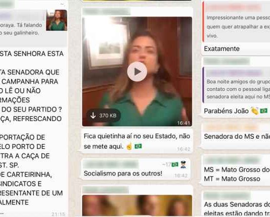 Senadora do partido de Bolsonaro eleita em MS apoia aliado de Haddad em SP e revolta colegas