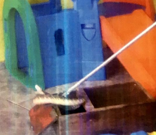 TCE encontra até cobra no meio de brinquedos durante fiscalização em creches