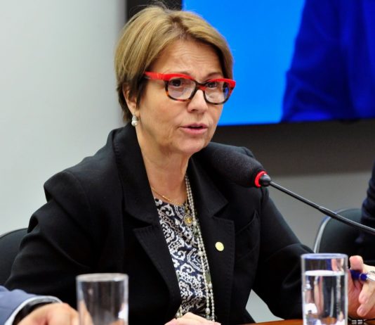 Bolsonaro anuncia Tereza Cristina como ministra da Agricultura
