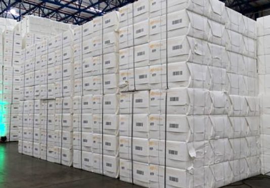 Celulose garante saldo US$ 537 milhões na balança comercial do 1º trimestre em MS