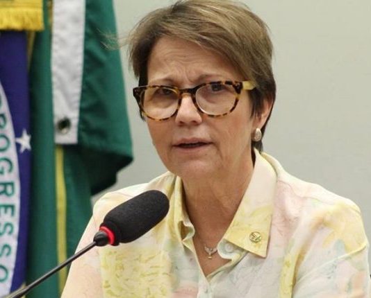 Tereza Cristina leva a Bolsonaro preocupação de agricultores com tabela do frete