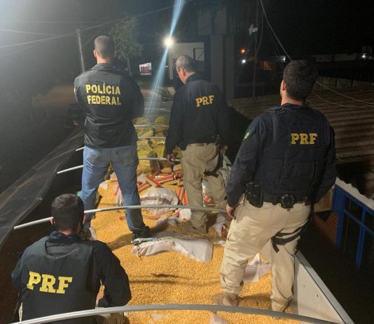 PF e PRF fazem em MS maior apreensão de maconha da história do Brasil