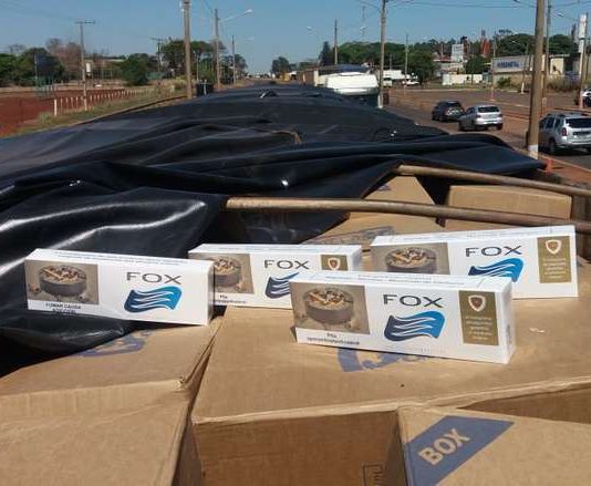 Após comando da PM, operação mira pagamento de propina a policiais civis em MS