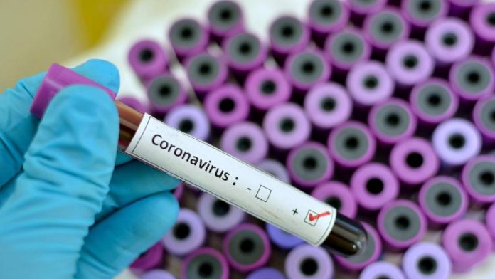 coronavirus-2-6_3