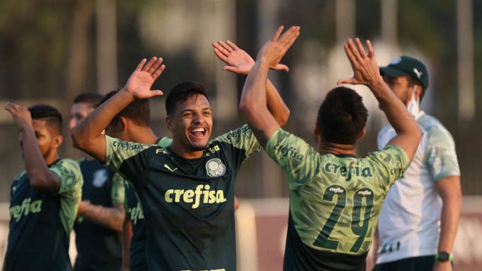 palmeiras_1