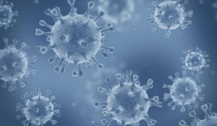 20200331011604_1200_675_-_coronavirus-768x402-730x425