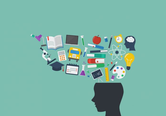 14-neurociencia-e-aprendizagem-img
