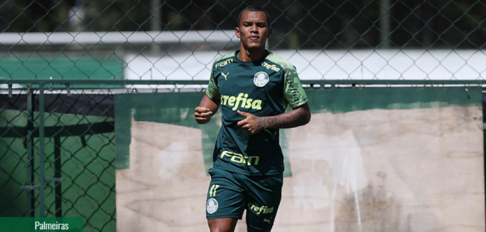 palmeiras
