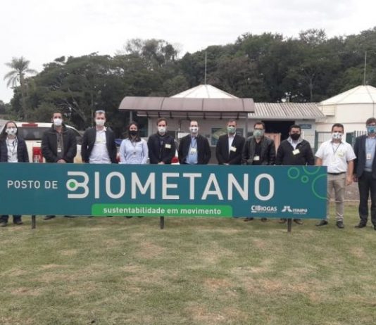 UEMS/Mundo Novo tem projeto de R$ 674 mil aprovado no edital MS Carbono Neutro