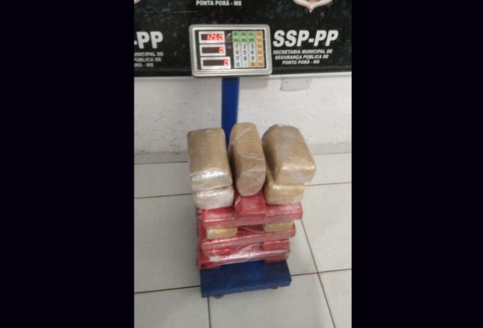 editado-maconha-ponta-pora-dourados-news