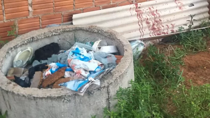 tiros.jpeg