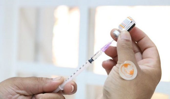 vacina-pediátrica-pfizer-baby-Foto-Rovena-Rosa-Agência-Brasil-730x425