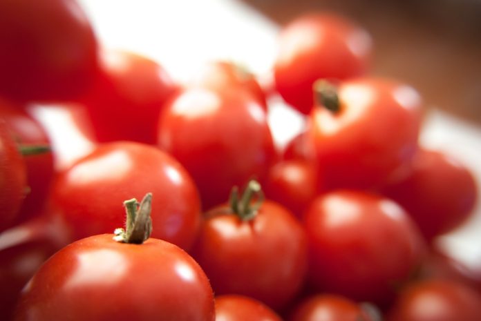 DIA DO TOMATE 1