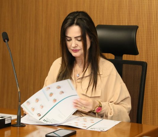CCJR é favorável ao tratamento diferenciado a gestantes que perdem bebê