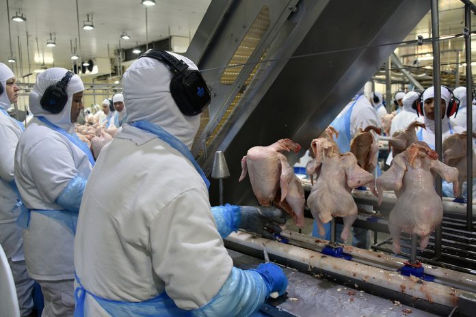 maio-caged-geracao-empregos-industria-fiems (3)