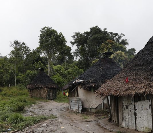 Representantes da corte interamericana visitarão TI Yanomami