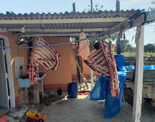 Dois são presos por abate e venda de carne clandestina