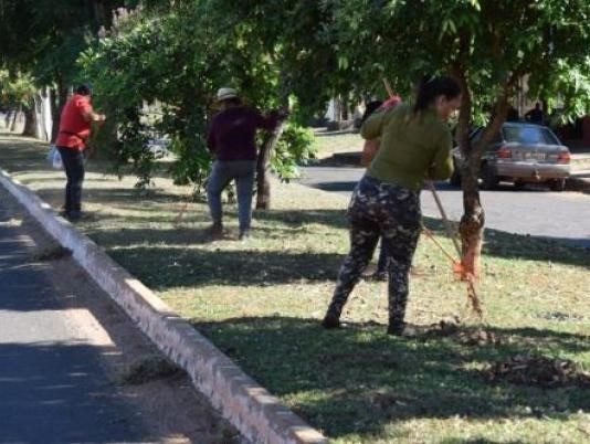 Prefeitura de Iguatemi intensifica ações de limpeza no município