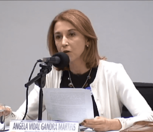 Em busca da verdade – Família