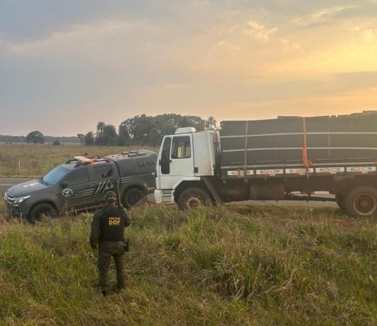 Caminhão com sinais identificadores adulterados é recuperado pelo DOF em Eldorado
