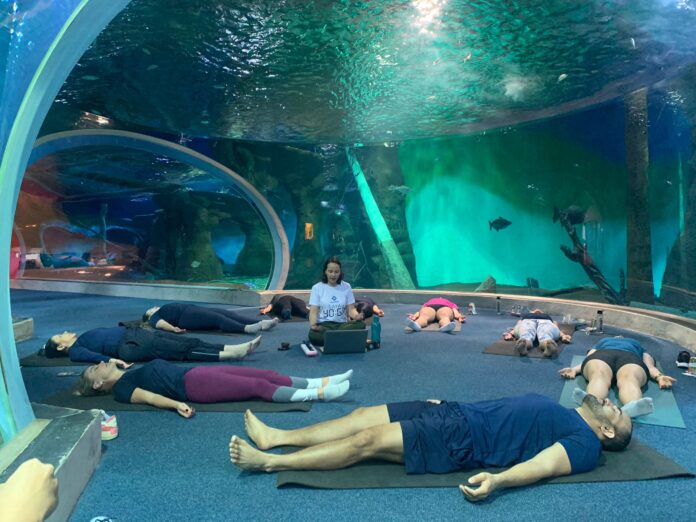 Laya yoga no Bioparque (2)