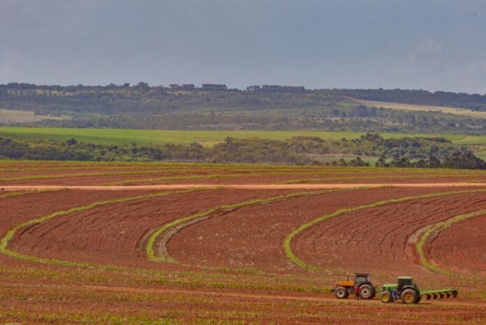 fazenda-estrangeiros