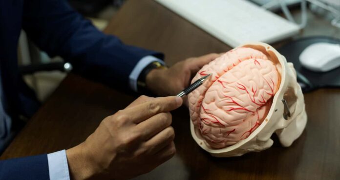 bebida-cerebro