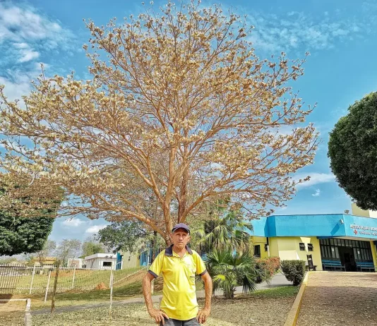 Apaixonado por árvores, Manoel transformou hospital plantando ipês