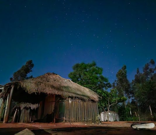 Sob ataque de pistoleiros, Guarani Kaiowa retomam área de agropecuária para cobrar demarcação e combater a fome