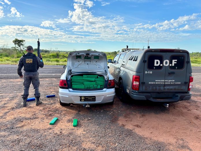 WhatsApp Image 2025-11-10 at 16.23.01