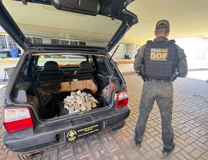 WhatsApp Image 2025-11-10 at 17.41.48