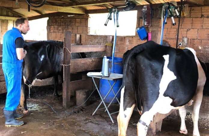 WhatsApp Image 2025-11-13 at 12.13.38 (2)