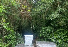 Polícia Federal e BPFRON realizam apreensão de agrotóxicos de origem Paraguaia