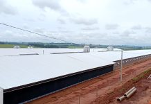 Com 32 aviários, Japorã possui mais de 1 milhão de pintainhos alojados