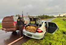 DOF apreende mais de 1,1 tonelada de maconha em Ponta Porã