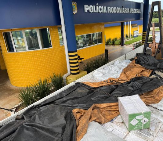 PRF apreende mais de uma tonelada de agrotóxicos na BR-487, em Alto Paraíso (PR)