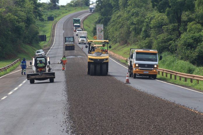 BR 163 Norte foto Rachid Waqued (200) (2)