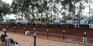 Fazenda Tuneiras, em Iguatemi, recebeu laçadores para 1ª Etapa do CPFLT-2026 de Laço Comprido