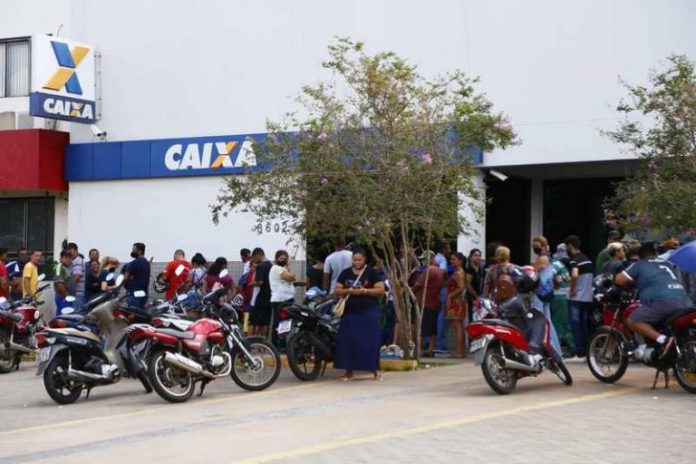 fila-caixa-gunter-hans-ldf-768x512