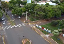 Governo de Mundo Novo intensifica o plantio de flores e reforça o pedido de colaboração da população