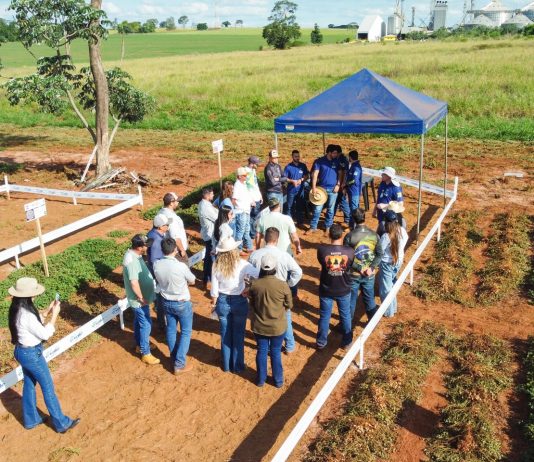 Dia de Campo do Amendoim em Eldorado com parceria da UEMS