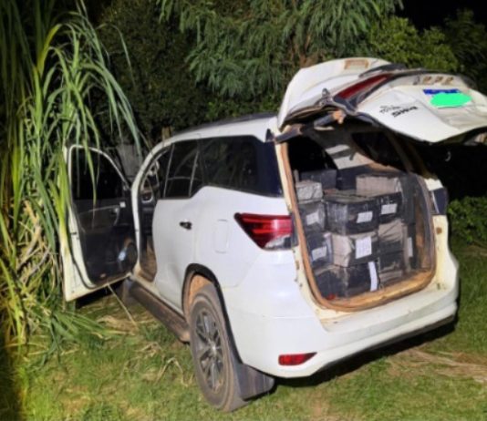 Polícia Civil de Mundo Novo apreende 1,6 toneladas de maconha no bairro Copagril
