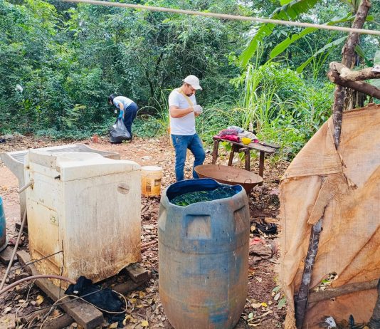 Ação conjunta mobiliza comunidade indígena no combate à dengue em Amambai