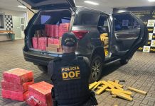 DOF apreende 1,5 tonelada de maconha, recupera veículo roubado e recaptura foragido em Dourados