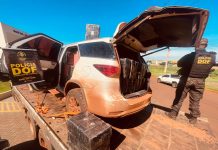 Sete Quedas: DOF apreende quase 2 toneladas de drogas e recupera veículo roubado em Santa Catarina