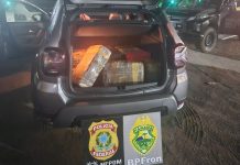 BPFRON e PF apreendem mais de 200 kg de maconha e prendem dois indivíduos em Perobal-PR