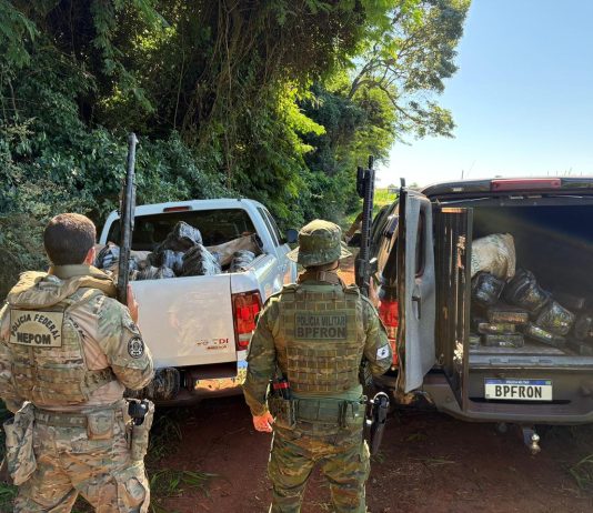 BPFRON e Polícia Federal apreendem quase 400 quilos de maconha em área rural de Guaíra