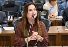 Mara Caseiro cobra informações sobre obras da MS-290 entre Naviraí e Iguatemi