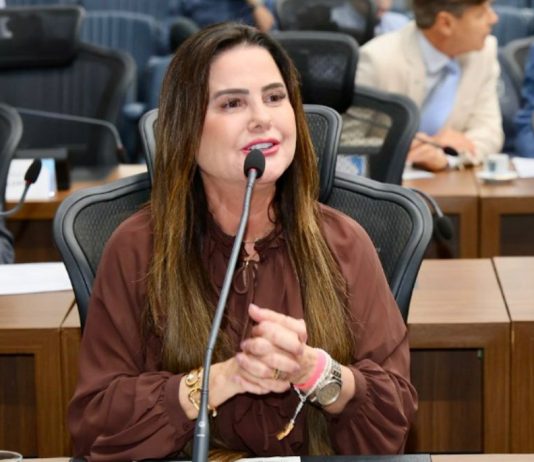 Mara Caseiro cobra informações sobre obras da MS-290 entre Naviraí e Iguatemi